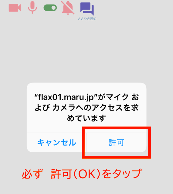 カメラ・マイク許可ー